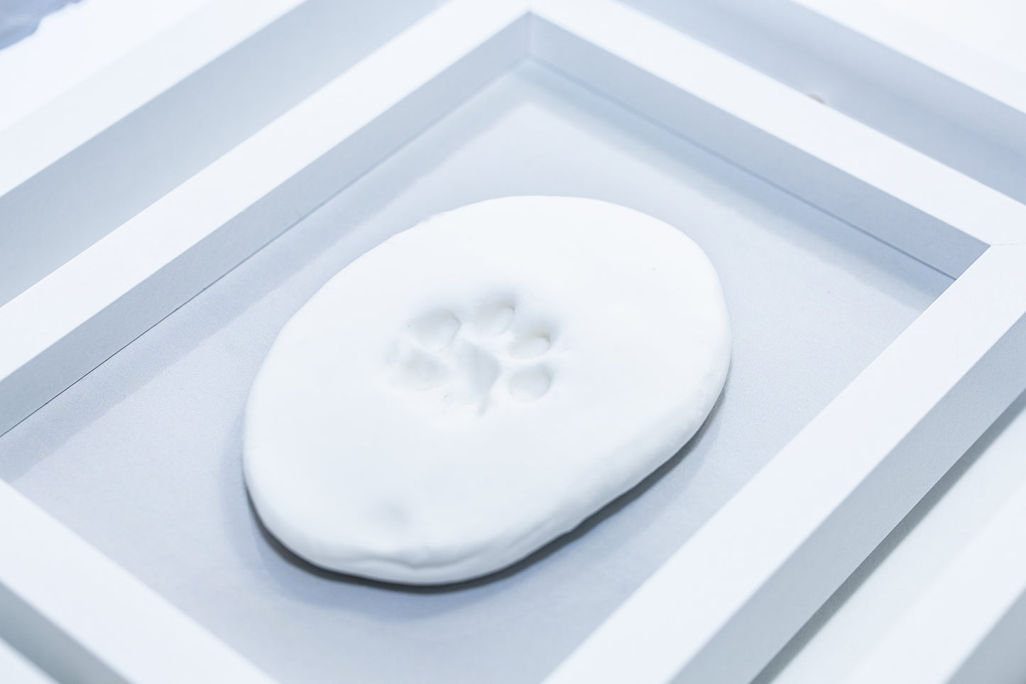 Pet Pawprint Keepsake Picture Frame