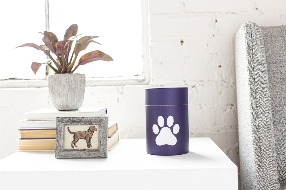 Biodegradable Pet Scattering Urn-Cremains Container-Blue Paw Print-Eco Friendly Scattering Tube