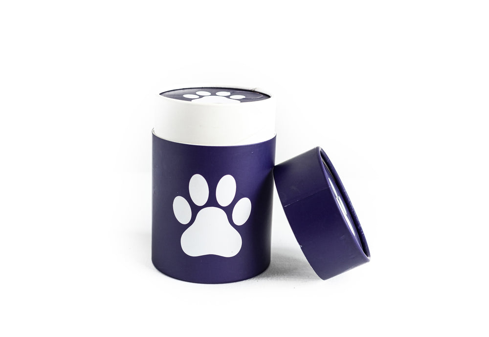 Biodegradable Pet Scattering Urn-Cremains Container-Blue Paw Print-Eco Friendly Scattering Tube