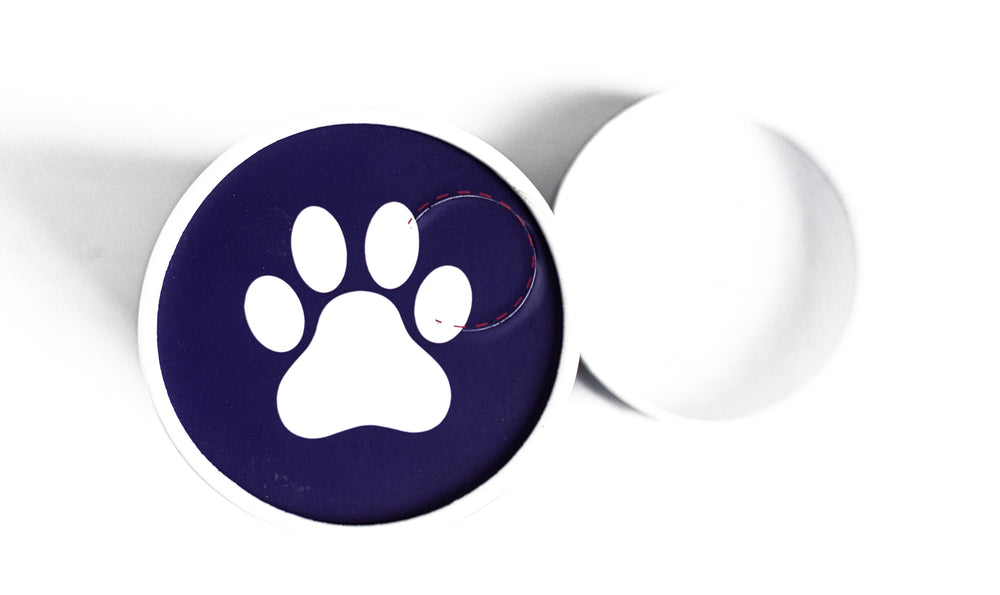 Biodegradable Pet Scattering Urn-Cremains Container-Blue Paw Print-Eco Friendly Scattering Tube