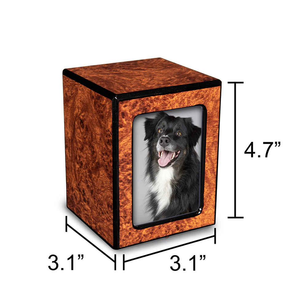 Society Collection-Small-Photo Pet / Keepsake Cremation Urn-Burl Finish - chateau-urns